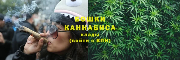 PSILOCYBIN Верхний Тагил
