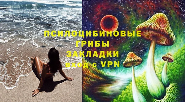 PSILOCYBIN Верхний Тагил